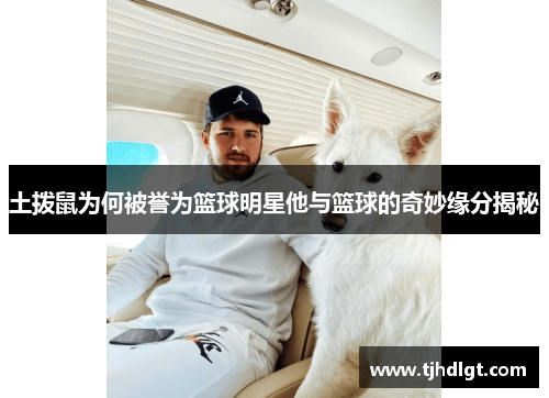 土拨鼠为何被誉为篮球明星他与篮球的奇妙缘分揭秘